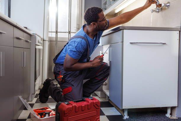 Best Plumbing Repair Near Me  in Central City, IL